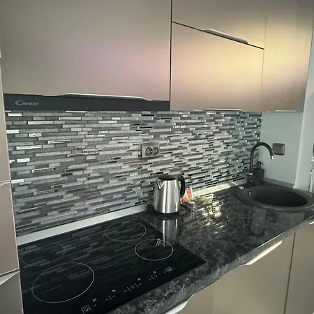 Silver At Just 8 Minutes Distance Of Center Appartement *