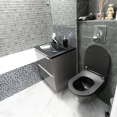 Appartement Silver At Just 8 Minutes Distance Of Center *